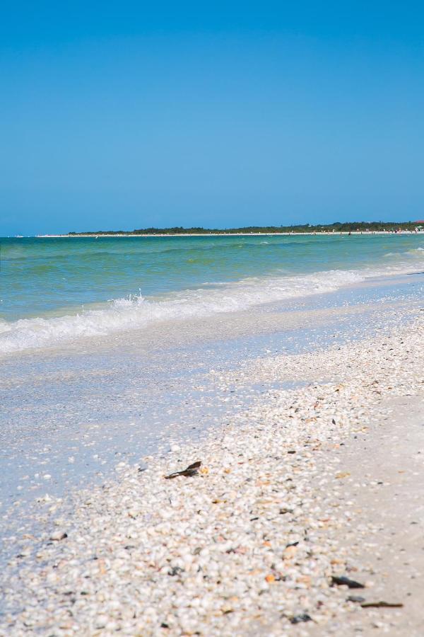 South Seas Tower 3 #1005 - Beachfront 2/2 Long Beach Views! Villa Marco Island Exterior photo